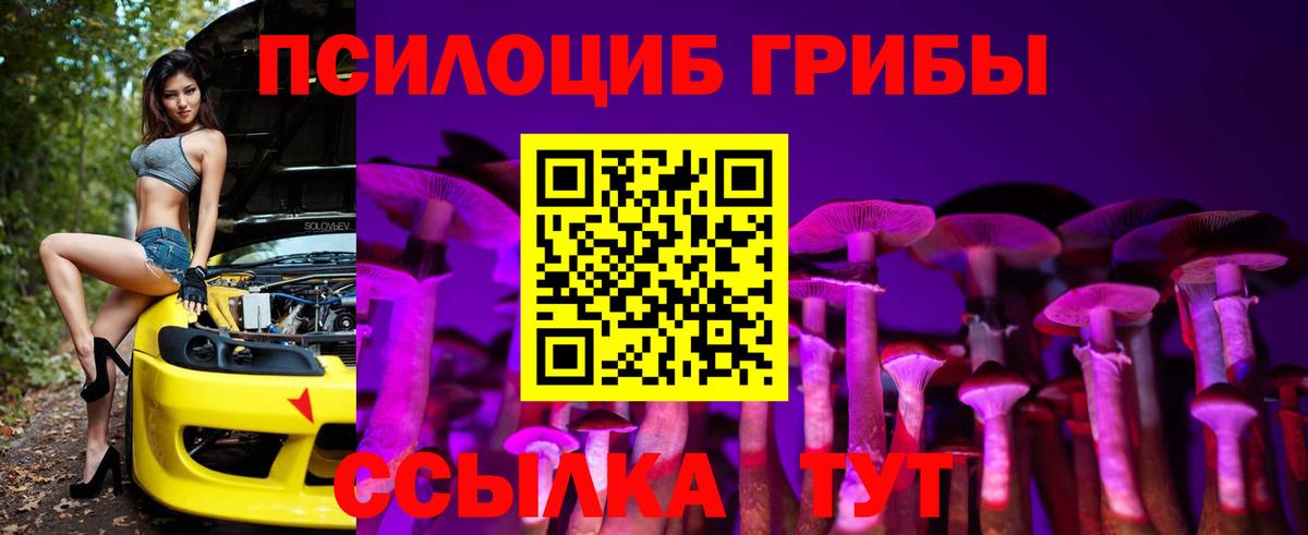 Псилоцибиновые грибы Cubensis Новочебоксарск