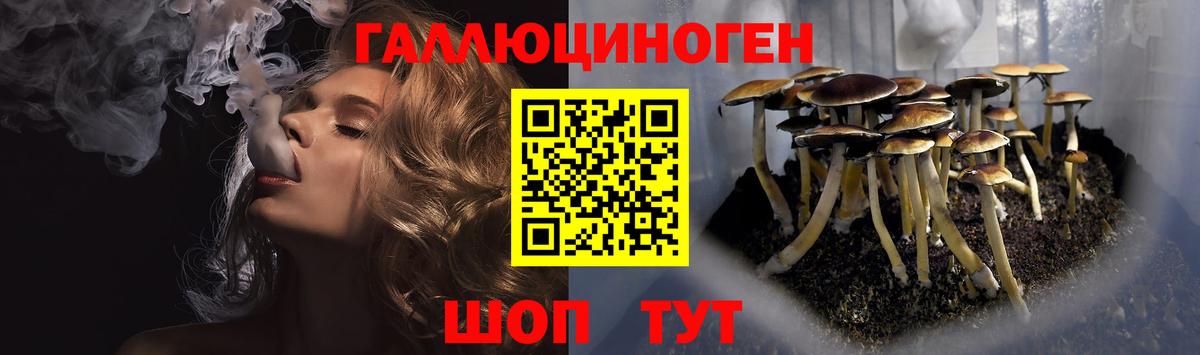 где можно купить   Псилоцибиновые грибы MAGIC MUSHROOMS  Вход с VPN  Новочебоксарск  Галлюциногенные грибы MAGIC MUSHROOMS 